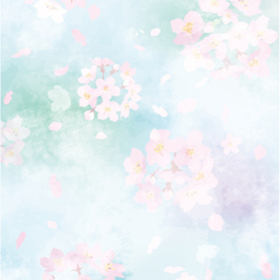 sakuraaco