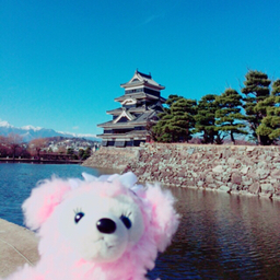 アルパカさん