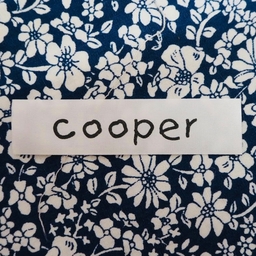 cooper-32