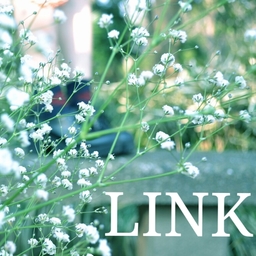 LINK（handmade）