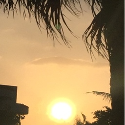 sun