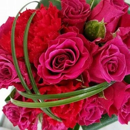 ROSEANGEL
