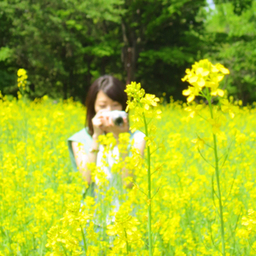 harunycom