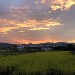 shima-kirin