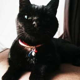 Selene