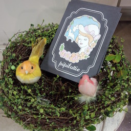 pipilottie®