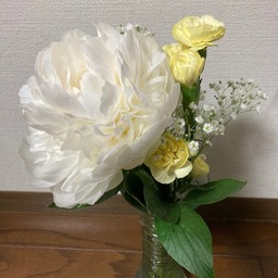 kanako