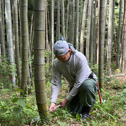 bamboo takezo