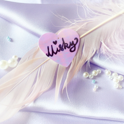Misky