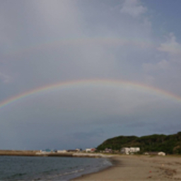 🐚Sea rainbow🌈