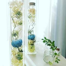 Primavera
