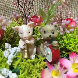 flowers  city