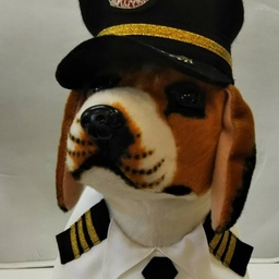 ドギーバッグ