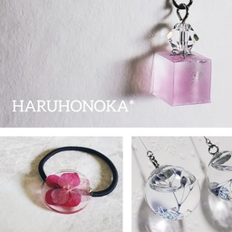 HARUHONOKA*