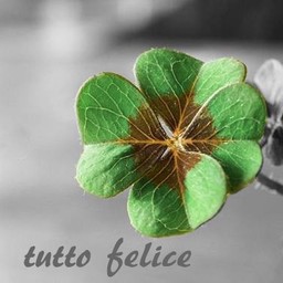 tutto felice
