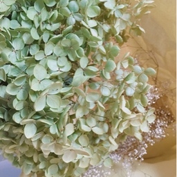 tsumugi-ko