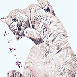 ふじねこ堂