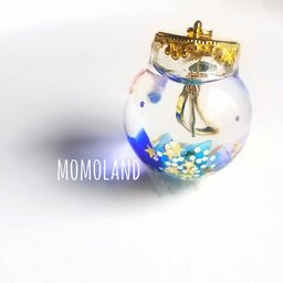 momoland