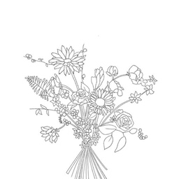 Daisy
