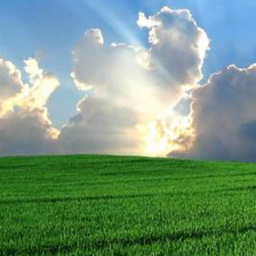 LAND and SKY