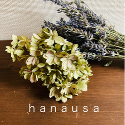 ｈａｎａｕｓａ