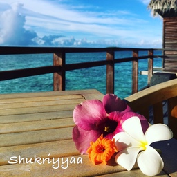 Shukriyyaa