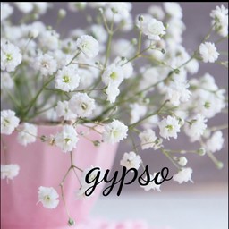 gypso-gypso