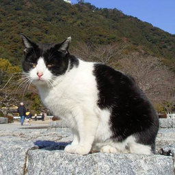 manofujin