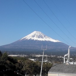 たかとう