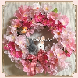 Ortensia*