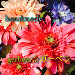 gerbera☆ガーベラ