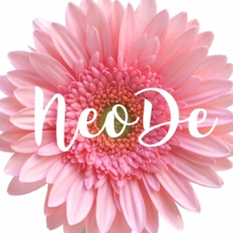 neo_desigh