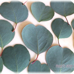 Legato-green