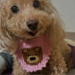 クレアsyucream︎︎︎·͜·ᰔᩚ