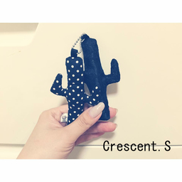 crescent-s