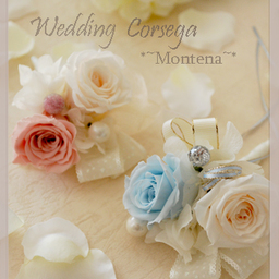 *~montena~*