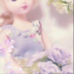 はるぽ