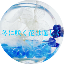 冬花-tōka-