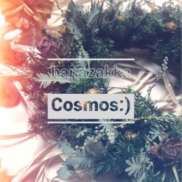  Cosmos