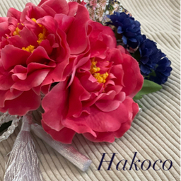 Hakoco
