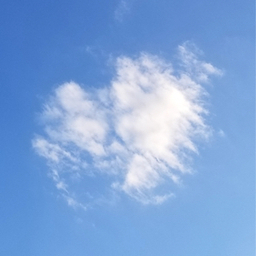 葉月なゆ