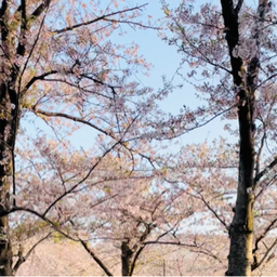 maruri_5712