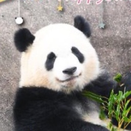 ミィ