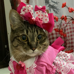 はんなりつぶ屋