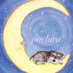 pachira08