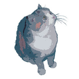 さんしまいのアトリエ MIKKO