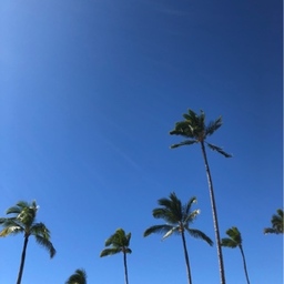 綾
