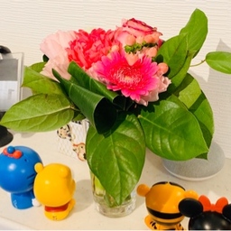 茉莉花　＊matsurika＊