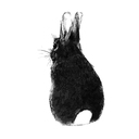 bunnysheaven