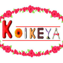 KOIKEYA 有沢河南